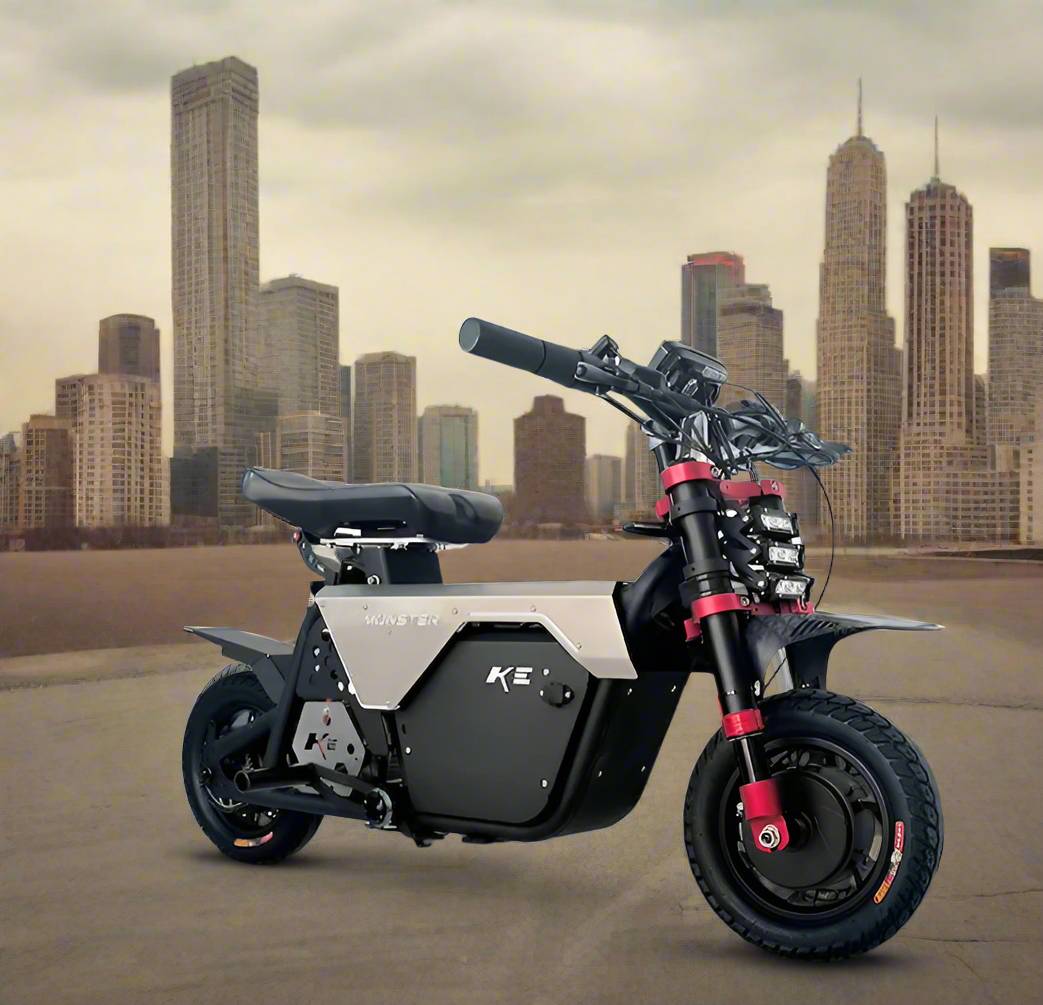 Fiido Muddy Fox E-Bike 2025