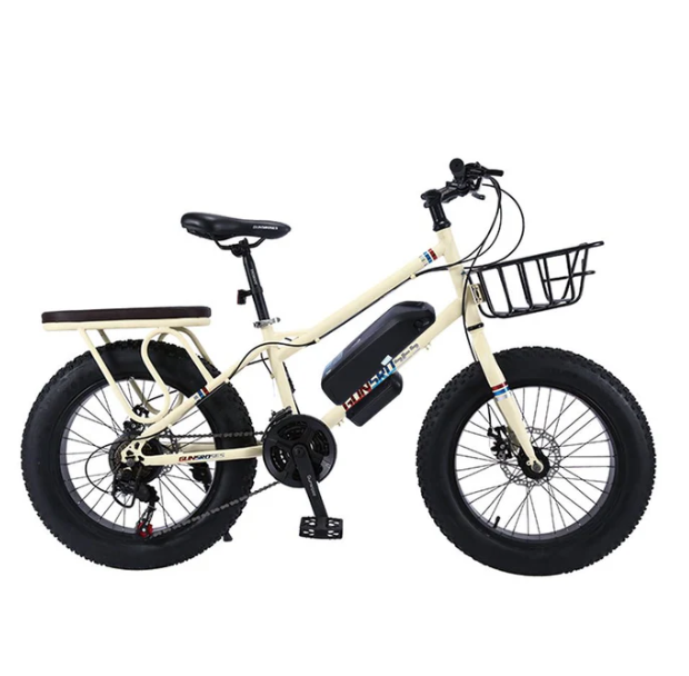 Desert Riding Electric Bike with Fat 22 Inch Tires for Off Road Adventure