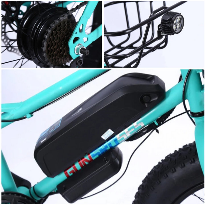 Desert Riding Electric Bike with Fat 22 Inch Tires for Off Road Adventure