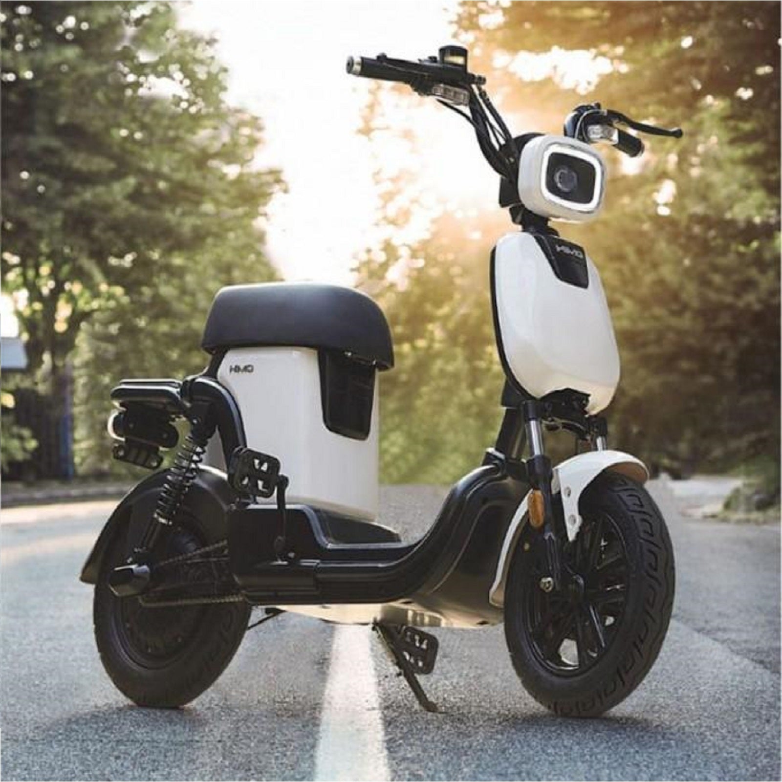 HIMO T1 Pro Electric Bicycle 120km Range with 350W Motor
