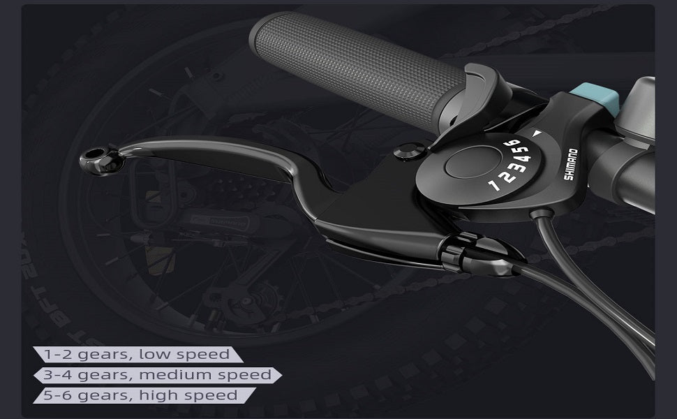 HIMO ZB20 Folding Electric Bike | 80km Range E-Bike