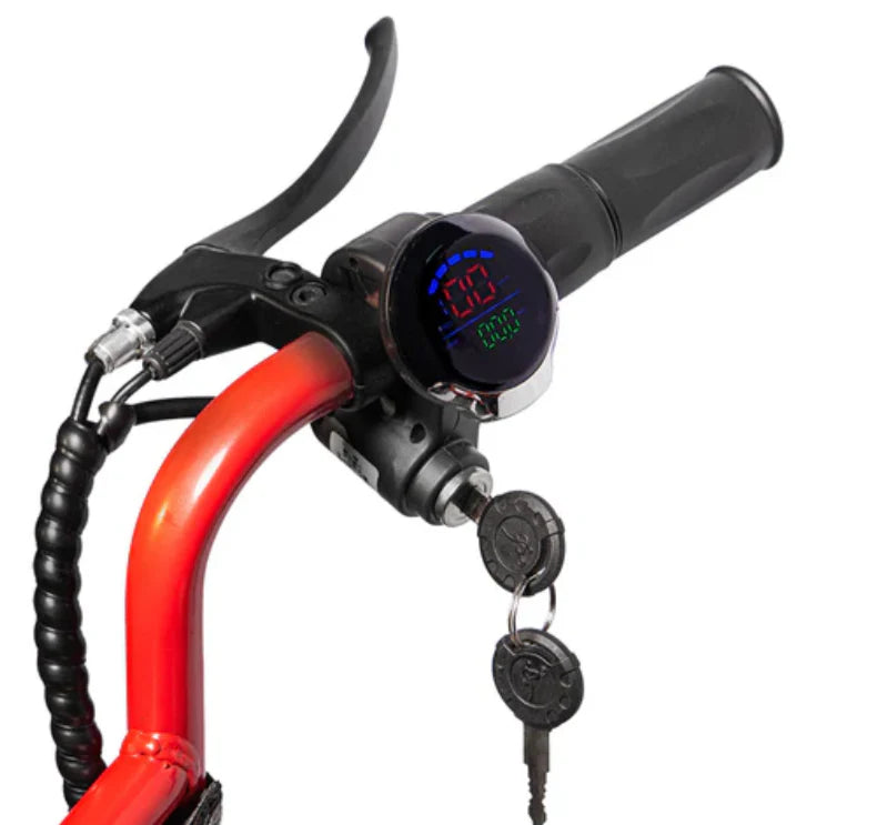 Arabian Cart C2 Small Harley Electric Scooter 48V 500W