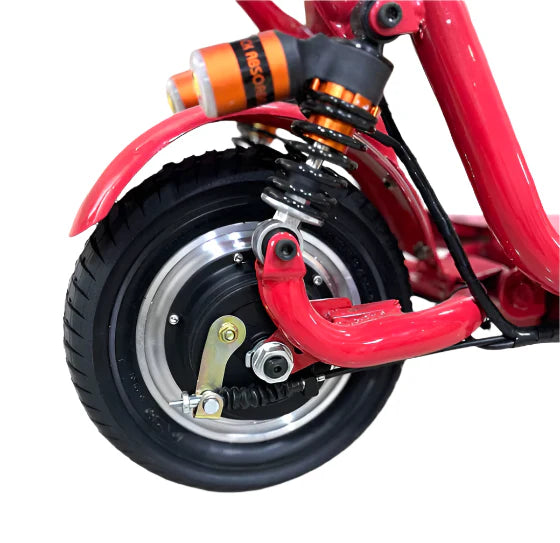 Two Seater Electric Scooter 350W with Double Seat