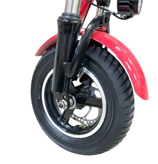 Two Seater Electric Scooter 350W with Double Seat