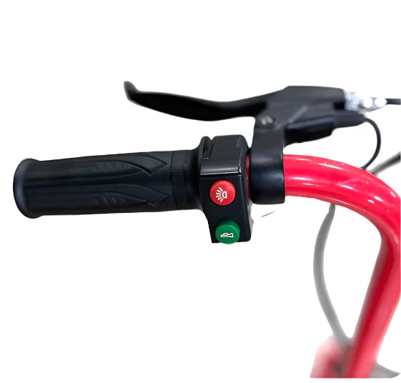 Two Seater Electric Scooter 350W with Double Seat
