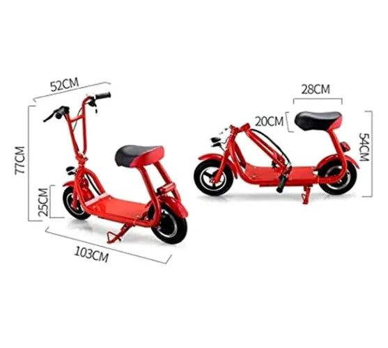 Two Seater Electric Scooter 350W with Double Seat