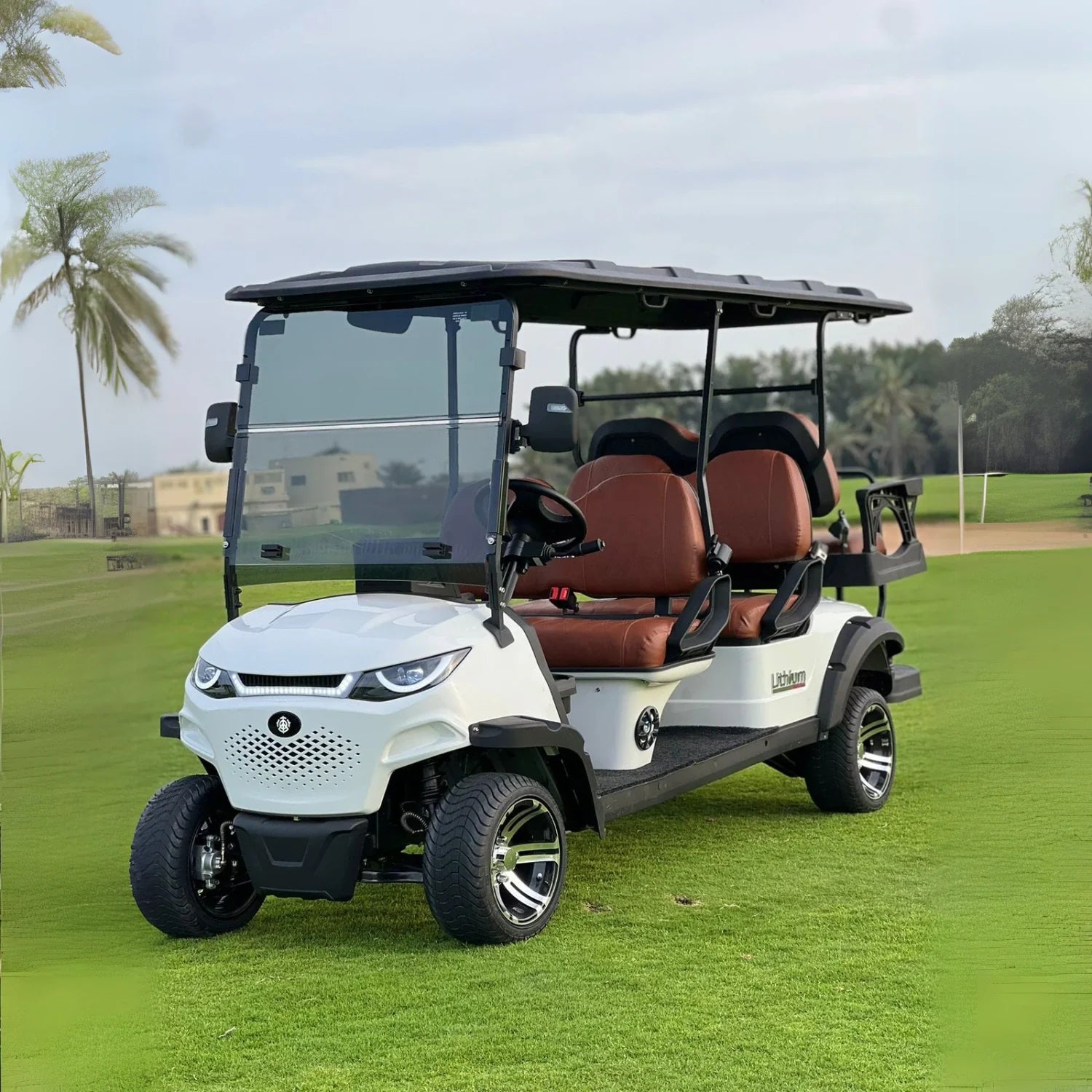 4+2 Golf Cart MXV