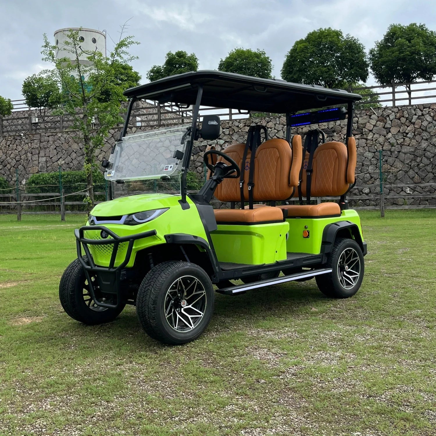4-Seater Golf Cart limited Edition