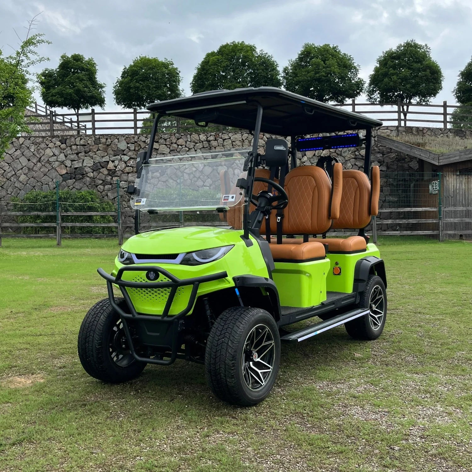 4-Seater Golf Cart limited Edition
