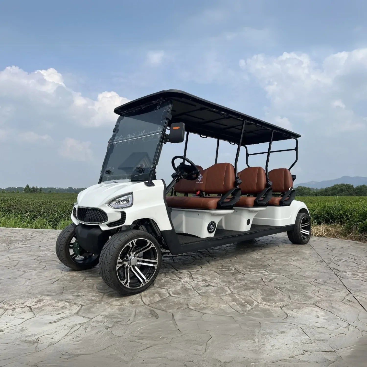 6 Seater Golf Cart TXV6+0