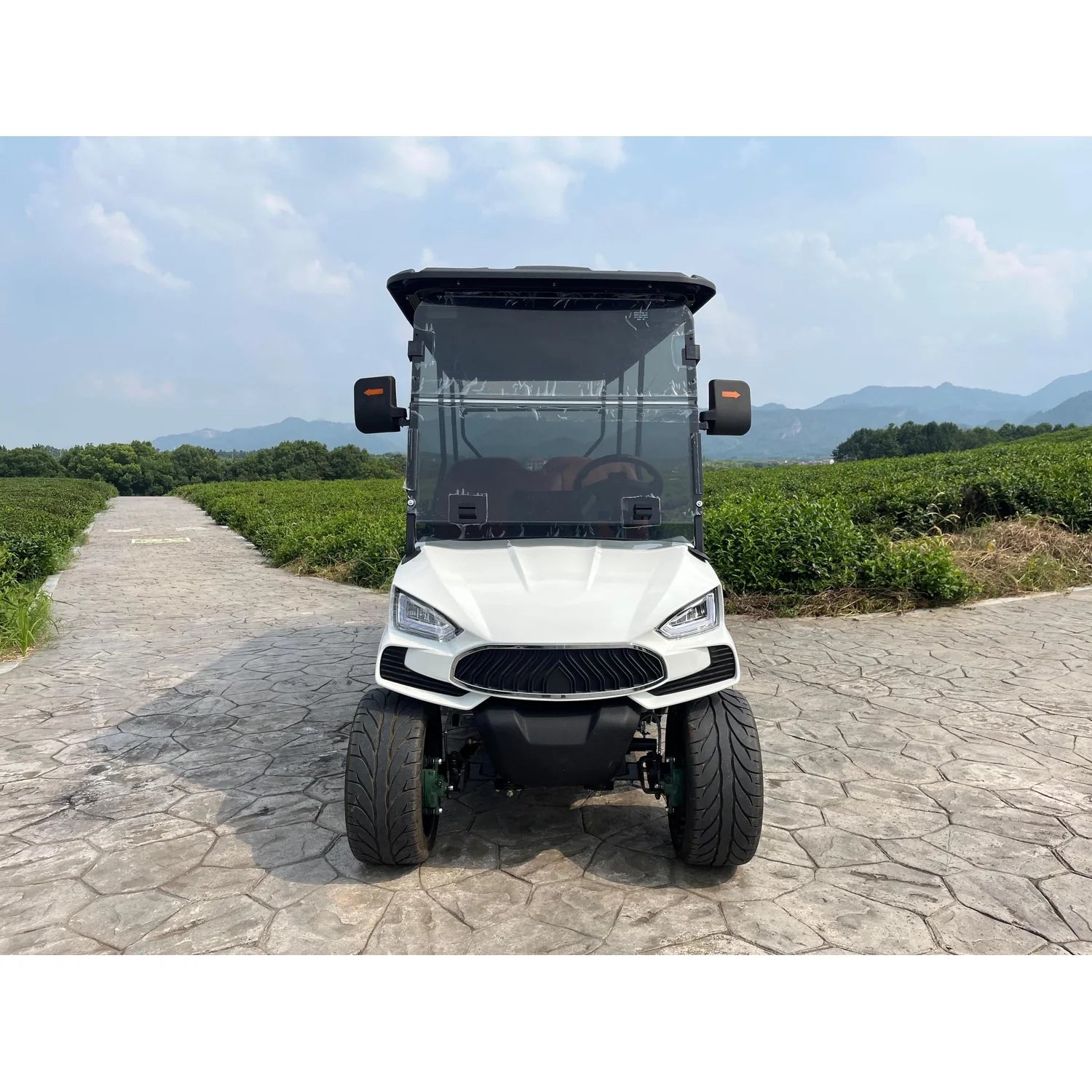 6 Seater Golf Cart TXV6+0