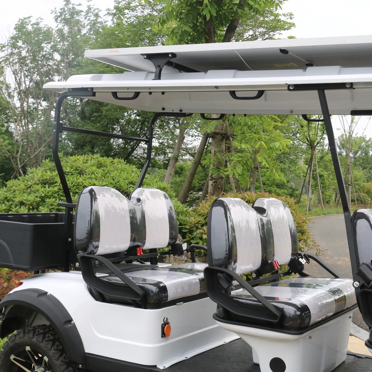 6 Seater Off-Road High Suspension Golf Cart With Cargo Box