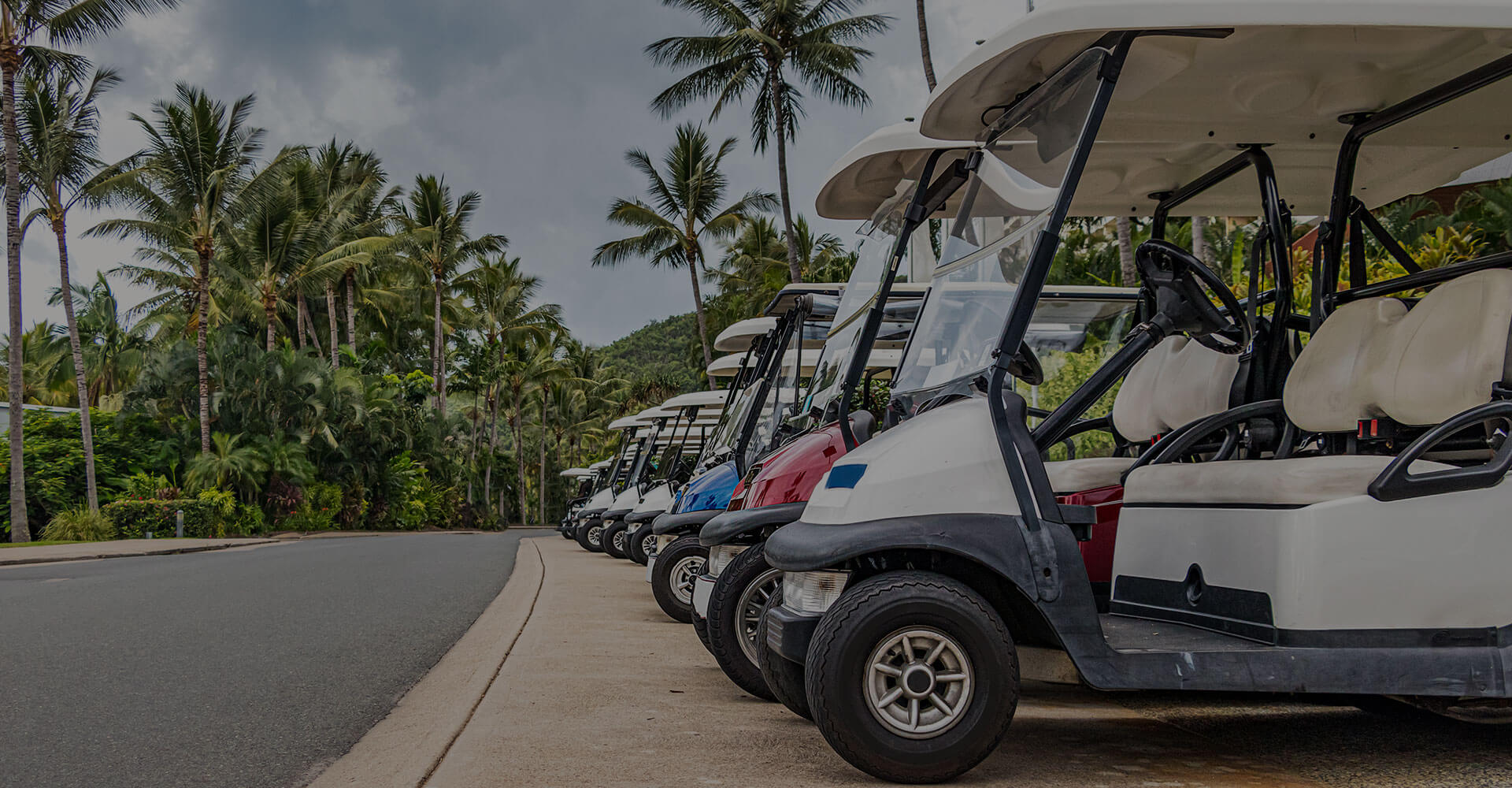 Row of golf carts parked on a road with palm trees in the background