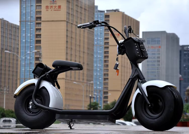 Arabian Cart Y1 Fat Tire Electric Scooter 1000W
