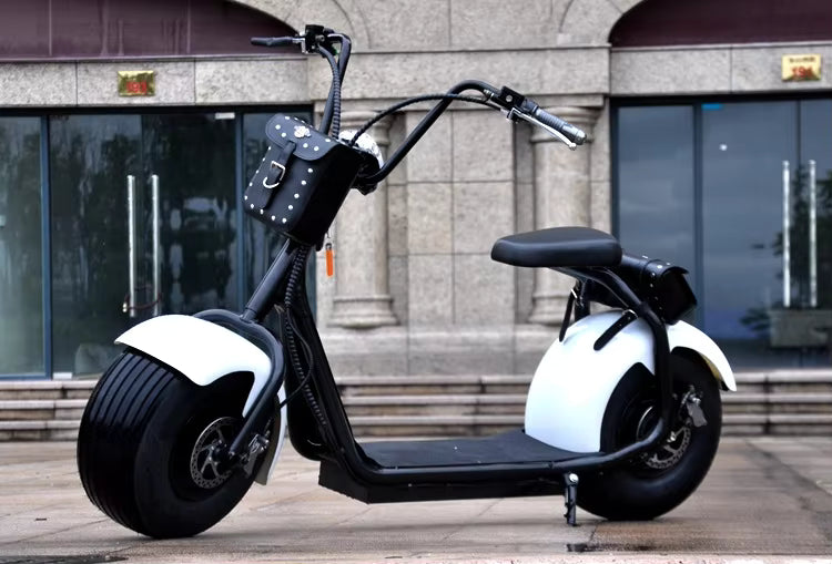 Arabian Cart Y1 Fat Tire Electric Scooter 1000W