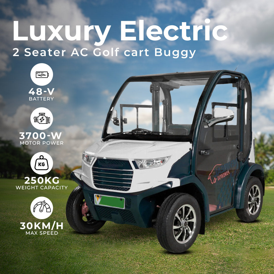 Luxury electric 2 seater AC golf cart buggy on a grassy field with specifications displayed.