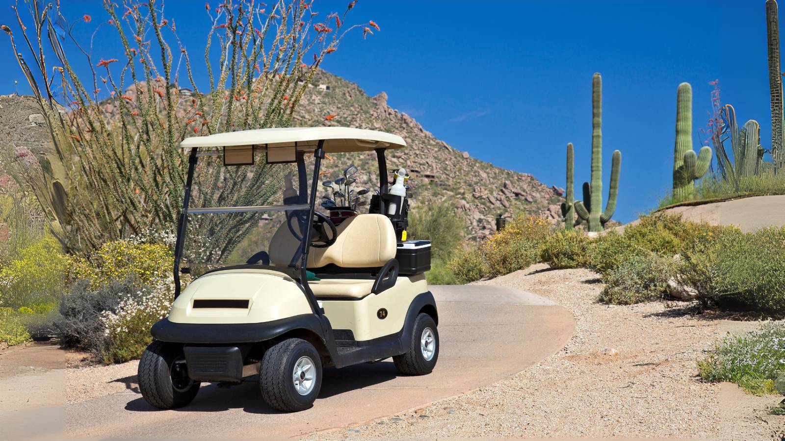 Golf cart on a desert path with cacti and mountains in the background