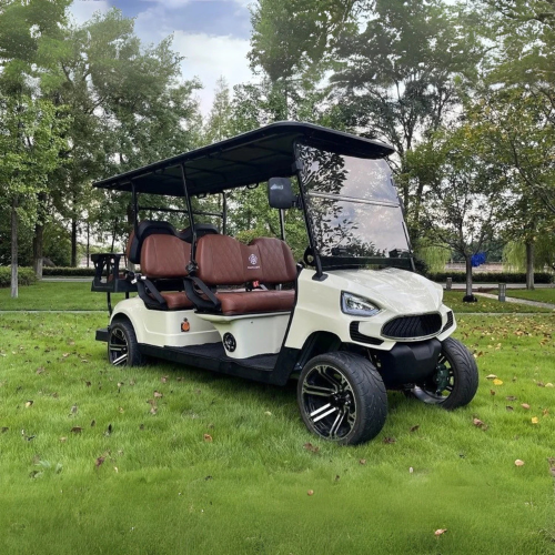 White golf cart with brown seats on a grassy area with trees in the background