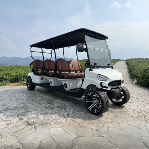6 Seater