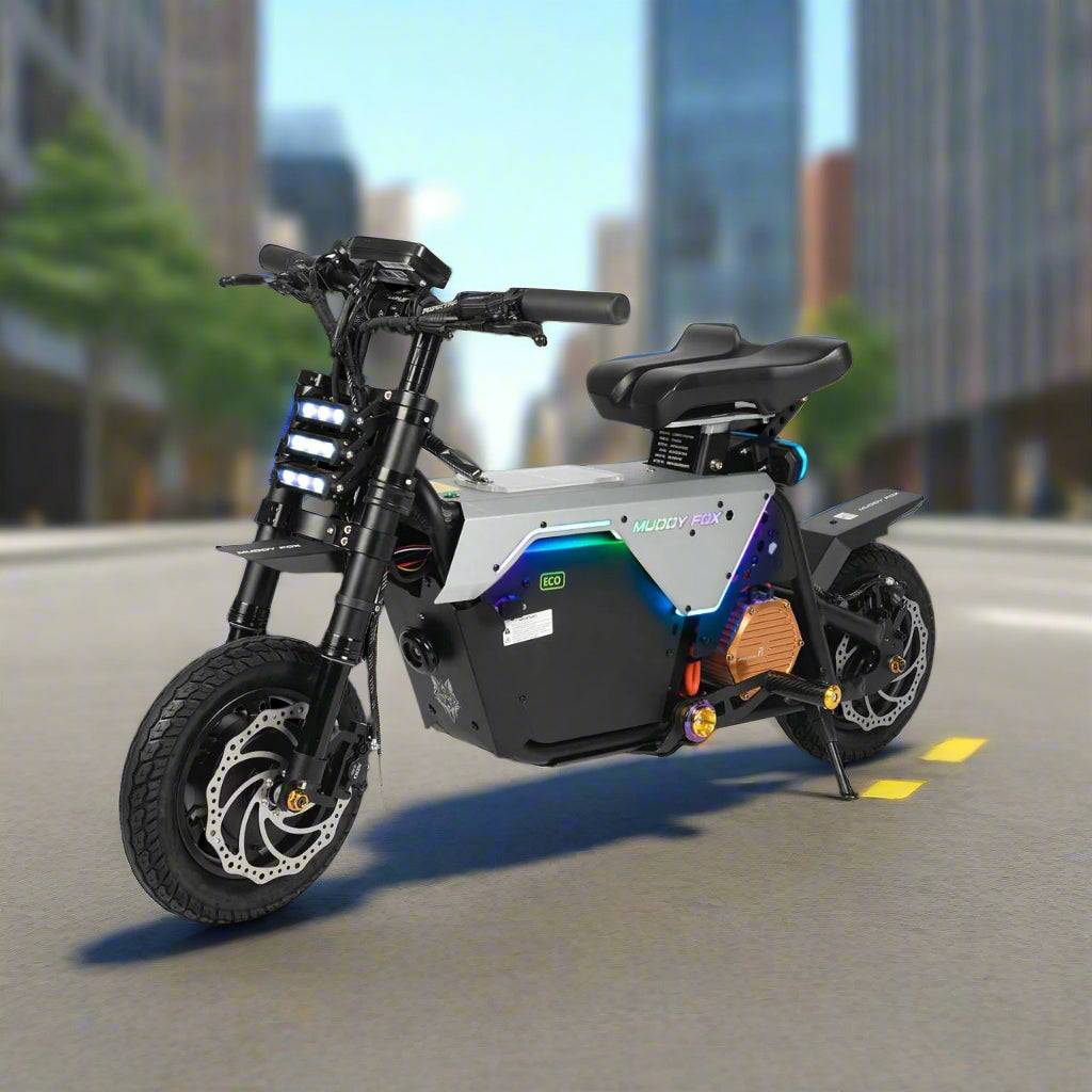 Fiido Muddy Fox 電動自行車 2025