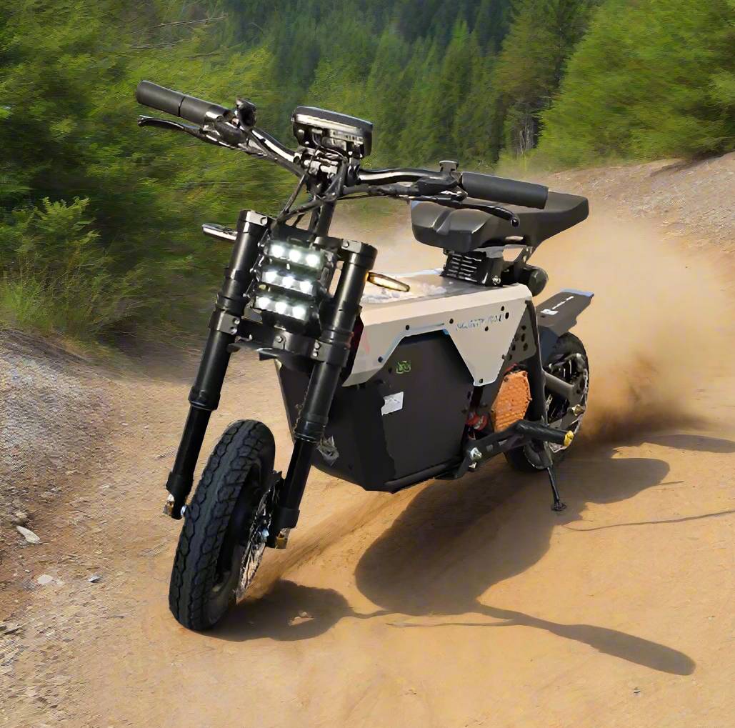 Fiido Muddy Fox E-Bike 2025