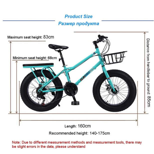 Desert Riding Electric Bike with Fat 22 Inch Tires for Off Road Adventure