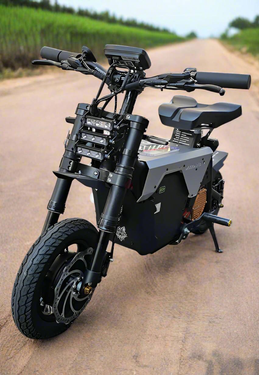 Fiido Muddy Fox E-Bike 2025
