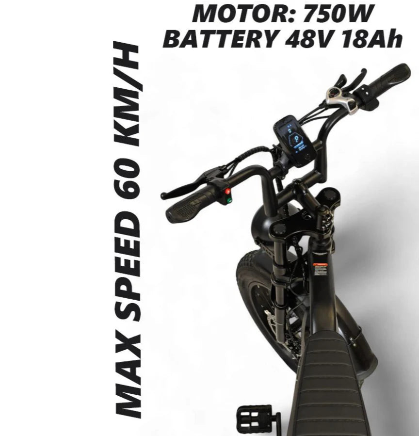Arabian Cart V8 Pro Electric Bike 750W 48V 15.6Ah