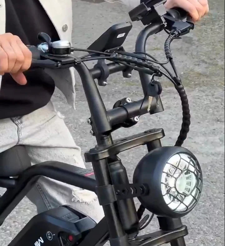 Arabian Cart V8 Pro Electric Bike 750W 48V 15.6Ah