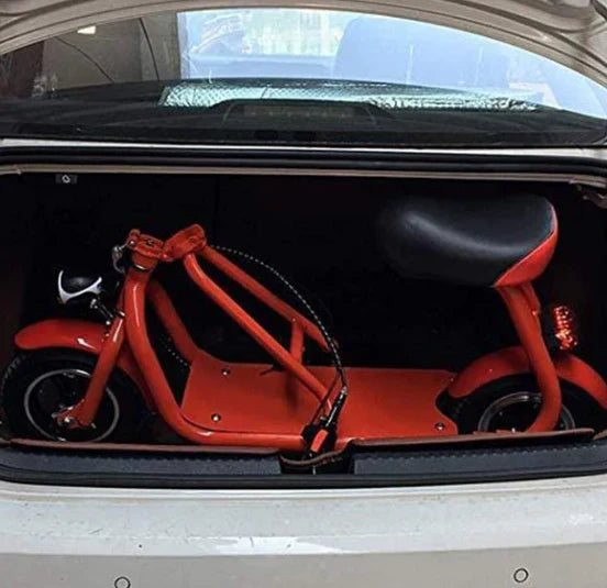 Two Seater Electric Scooter 350W with Double Seat