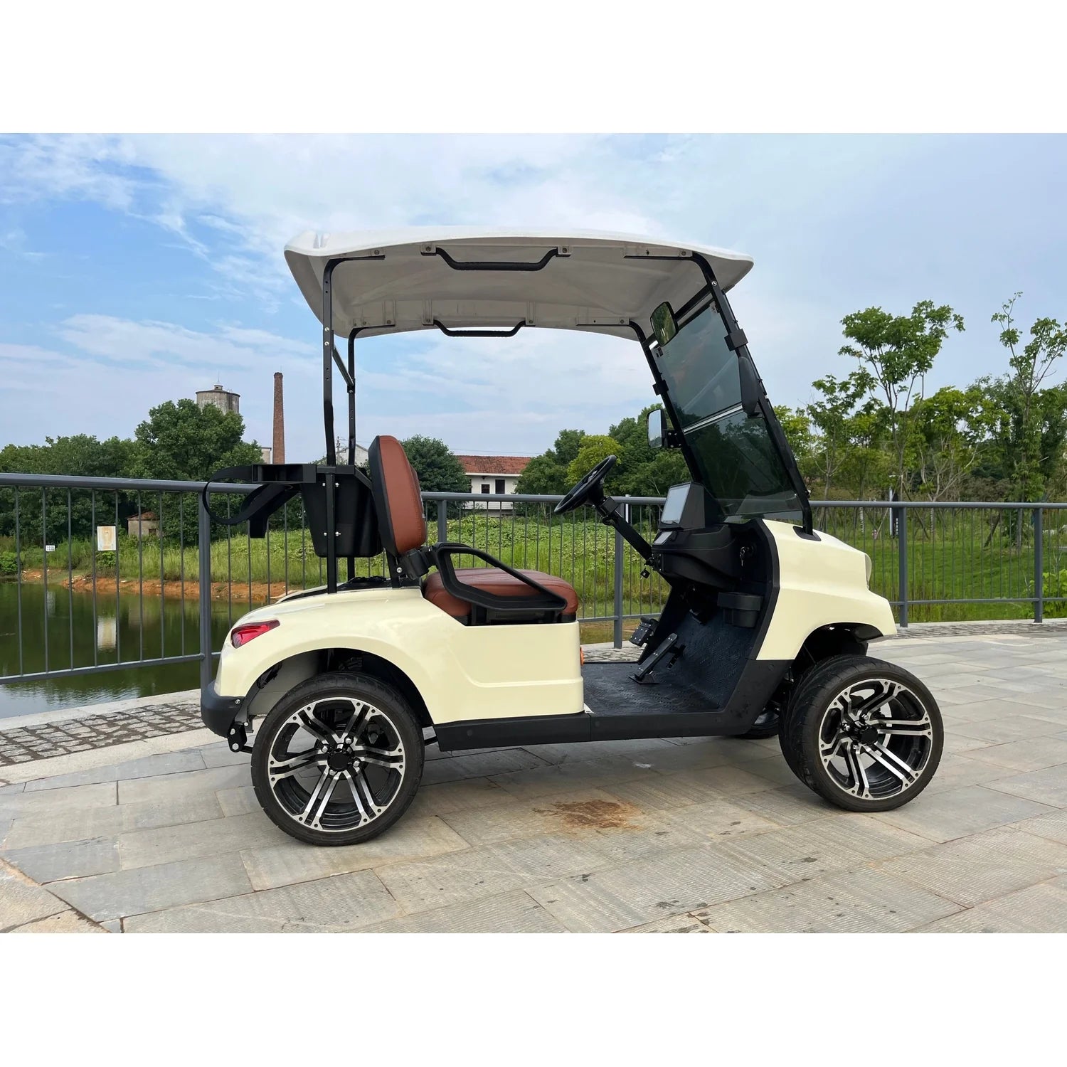2-Seater Electric Golf Cart
