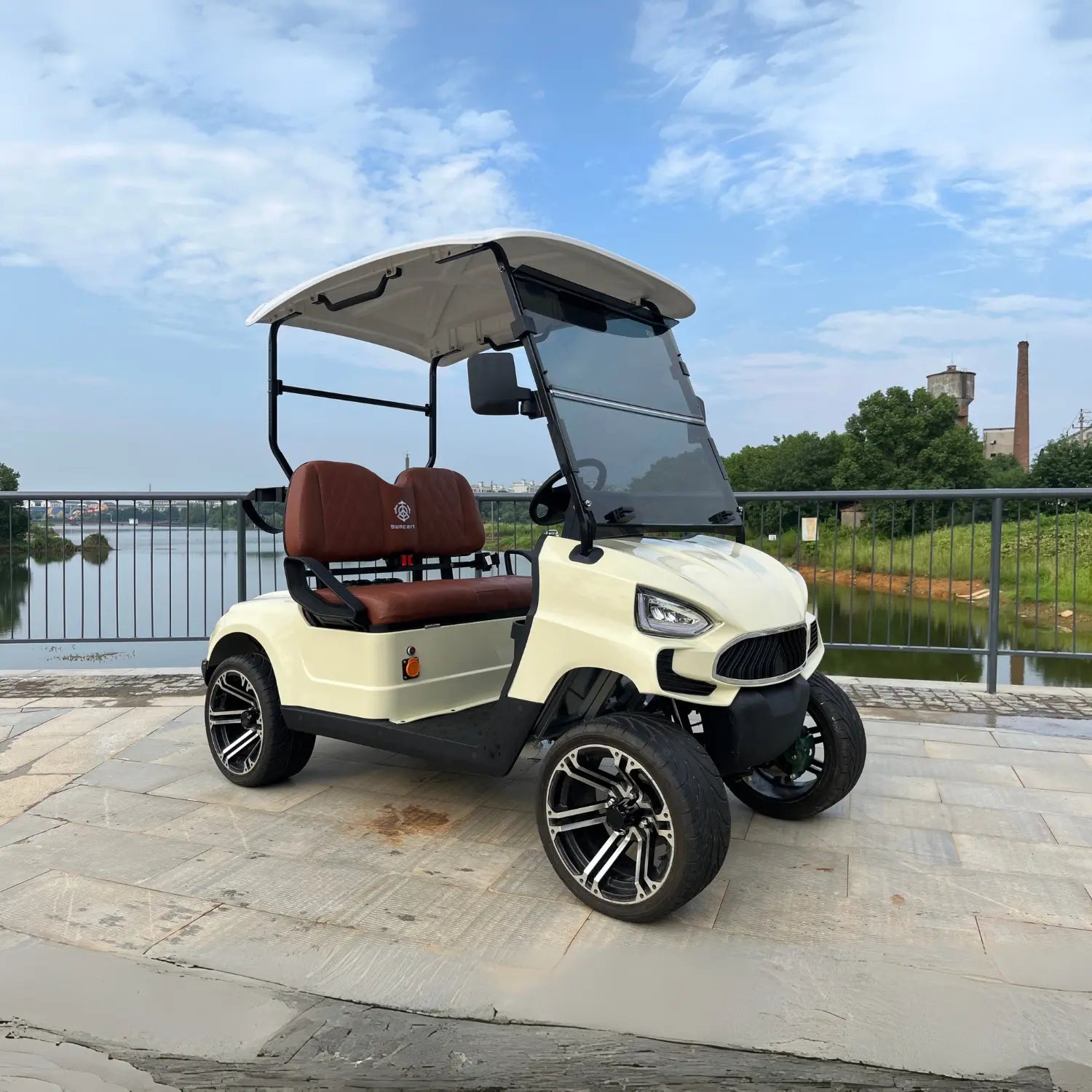 2-Seater Electric Golf Cart