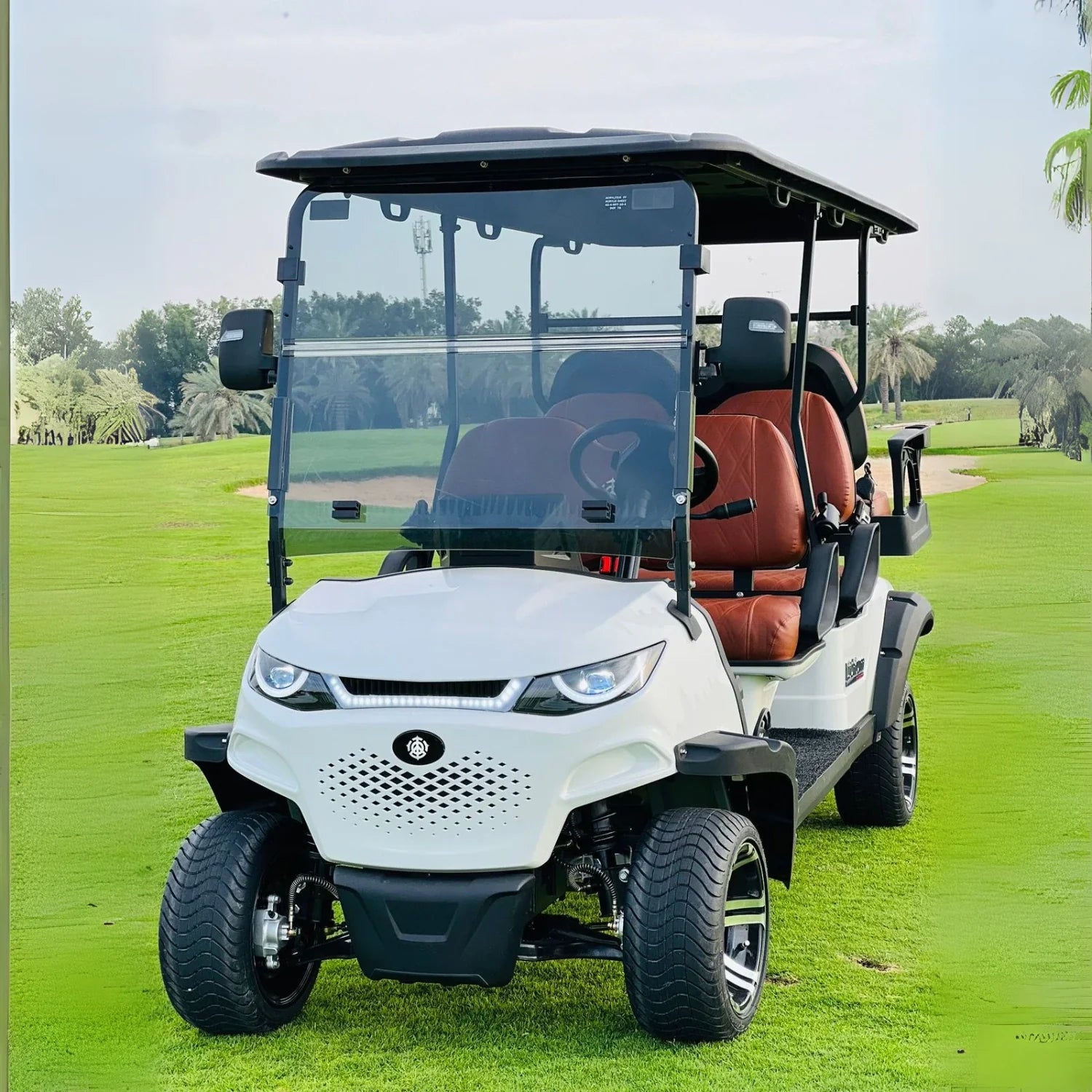 4+2 Golf Cart MXV