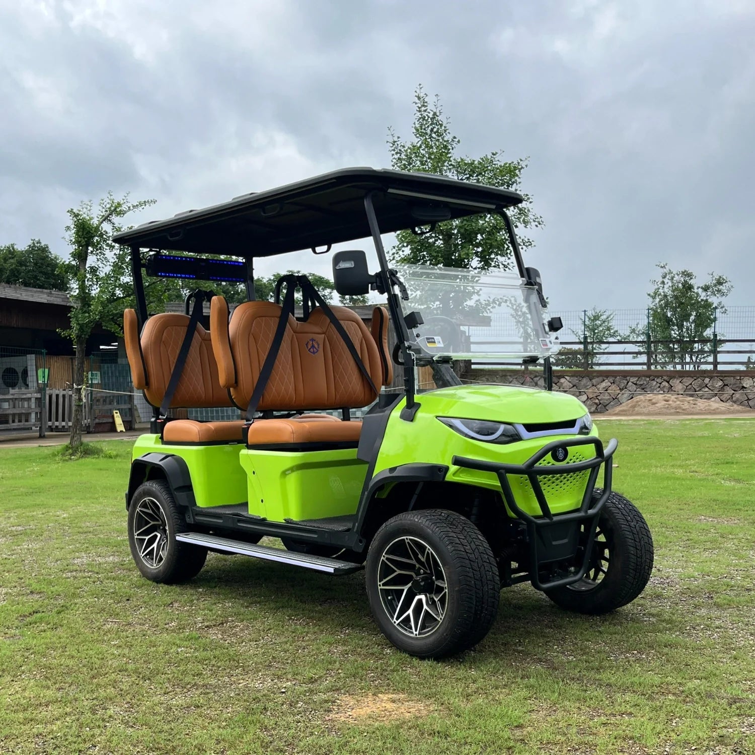 4-Seater Golf Cart limited Edition
