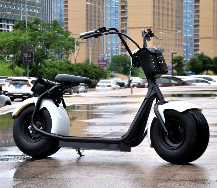 Arabian Cart Y1 Fat Tire Electric Scooter 1000W