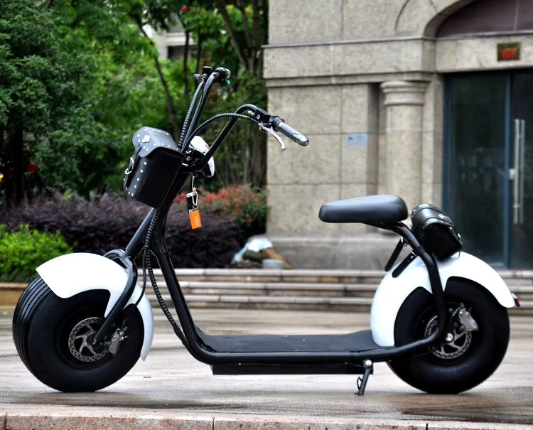 Arabian Cart Y1 Fat Tire Electric Scooter 1000W
