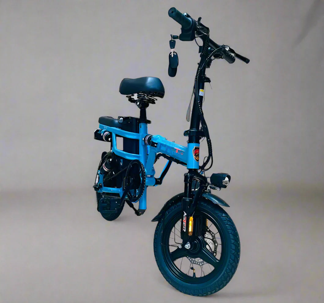 Arabian Cart Mini Electric Bike 48V 350W Unisex