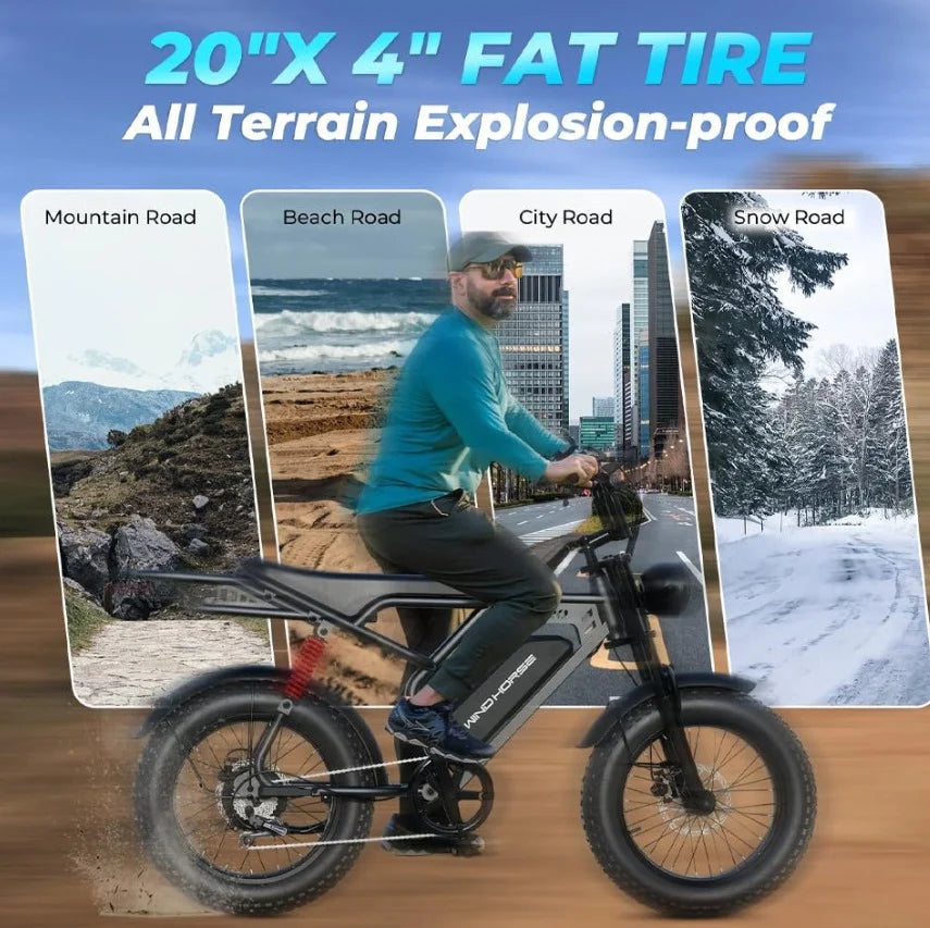 Arabian Cart V8 Pro Electric Bike 750W 48V 15.6Ah